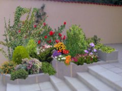 Garden Services - Amenajari si intretinere gradini